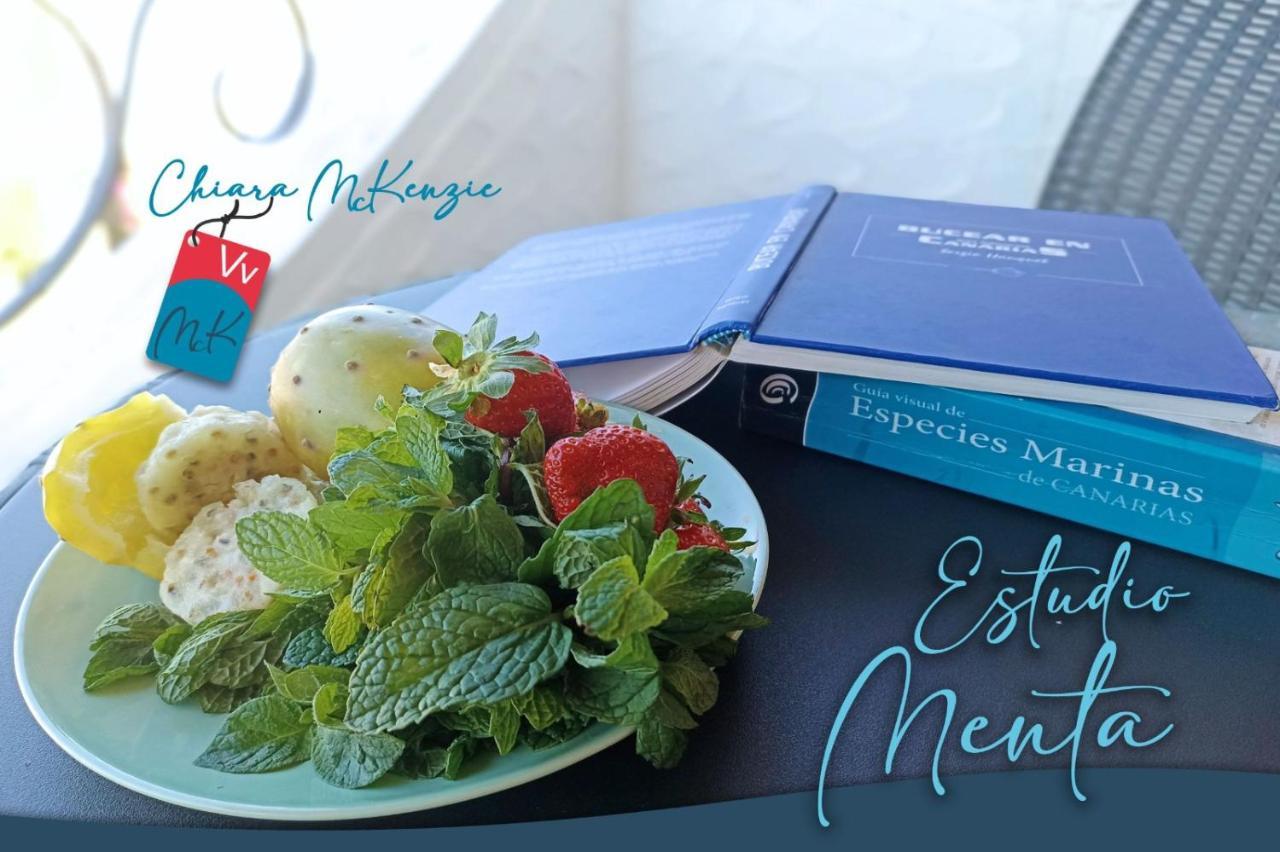 Estudio Menta Tacoronte Εξωτερικό φωτογραφία